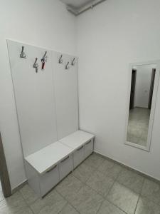 Campus Apartment Oasis