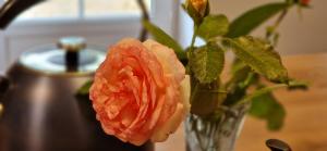 B&B / Chambres d'hotes Domaine de Bole , Maison d-Hotes : Chambre Lit Queen-Size - Vue sur Jardin
