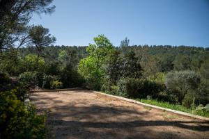 Villa dArtiste en pleine pinède à 10 min dAix