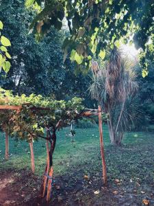 Casa quinta soñada!