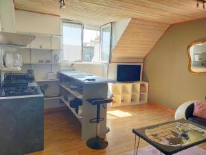 Appartements L'elephant Blanc de ConcarnOLoc : photos des chambres