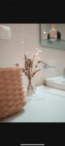 Eria Apartment