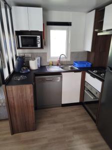 Campings MHVACANCES LOUENT PLUSIEURS MOBILHOMES DANS CAMPING 4 ETOILES PROCHE CHATEAUX et ZOO BEAUVAL : photos des chambres