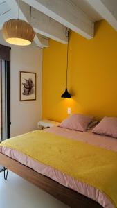Appartements Nid douillet sur roof top : photos des chambres
