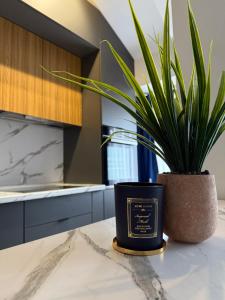 ISM Luxury Apartments
