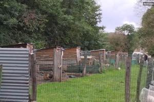 Campings Sejour a la ferme : photos des chambres