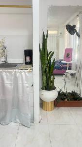 Intimate, comfortable and pleasant