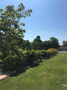 Domaine des Daims de la Baie de Somme