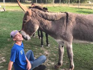 Sejours a la campagne Domaine des Daims de la Baie de Somme : photos des chambres