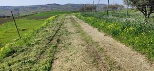 B&B Della Via Francigena