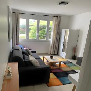 Appartements Charmant Studio climatise Paris Expo Porte de Versailles - Dome de Paris , near transportation links : photos des chambres