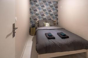 Appartements Murmures Cactus, Spa & Sauna Blois : photos des chambres