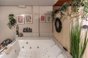 Appartements Murmures Cactus, Spa & Sauna Blois : photos des chambres