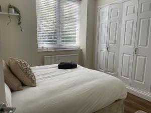 Cozy Prime London apartment