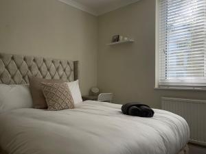 Cozy Prime London apartment