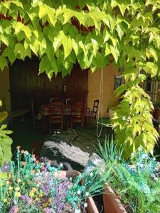 Appartements Appartement : photos des chambres