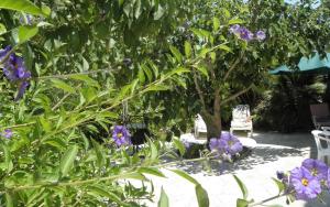 chambre dhôtes villa tigre LA CIOTAT Quartier résidentiel