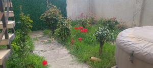 Cozy 2 floor house with beautiful green garden