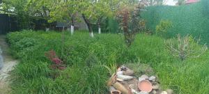 Cozy 2 floor house with beautiful green garden
