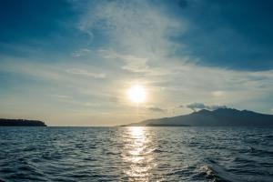 PITI Nest Self-Service Home in Rainforest Nest - Wi-fi, Monkeys, Bats, Pet Friendly with a Fee