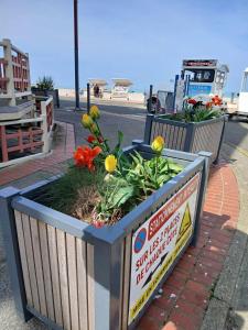 Appartements Face a la mer by Corinne : photos des chambres