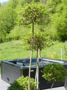 Maisons d'hotes Cabane-Spa Cocon du Gast : photos des chambres