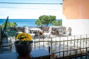 Cosy studio by the beach