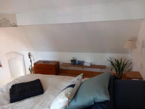 B&B / Chambres d'hotes La Maisonnette de la Danasha : photos des chambres