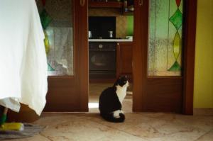 Camera privata vicino a Venezia in aperta campagna