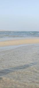 لاسيرينا بالم بيتش للعائلات