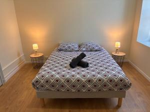 Appartements Bel appart neuf 6 pers Ecueille Centre : photos des chambres