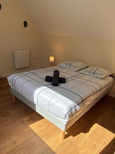 Appartements Bel appart neuf 6 pers Ecueille Centre : photos des chambres