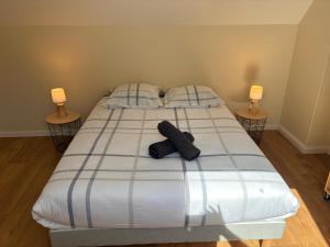 Appartements Bel appart neuf 6 pers Ecueille Centre : photos des chambres
