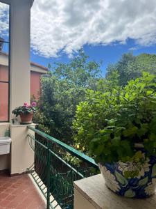 Splendida Casa vista mare per 4 persone di fronte alle spiagge di Bussana