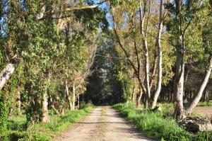 Poesis Park - Glamping