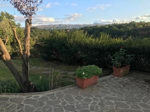 Le piagge della sala