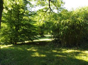 Campings La cabane a cheval : photos des chambres