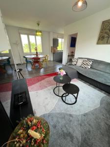 Appartements « stef one « centre ville 2 chambres 3 voyageurs : photos des chambres