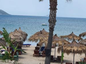 Maxolas Dream Orikum