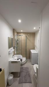 Appartements Cozy studio parking prive meyzieu centre : photos des chambres