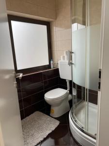 Studio apartman Vidikovac