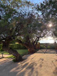 Hotels Hotel Thalassa : photos des chambres