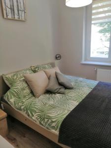 Apartament Mako