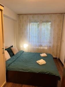 Apartament Central