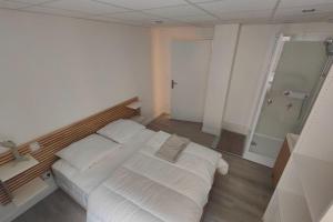 Appartements Appartement Moderne au Coeur de Chambery : photos des chambres