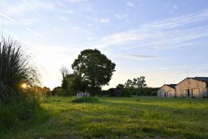 Fermes Gite Demilenise - Villemain : photos des chambres