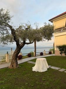 L olive Villa