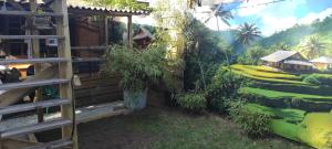 "Tempat Senang" chalet on the beautiful Veluwe with airco sauna bbq jacuzzi beamer and dog