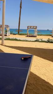 The groove - Ain el sokhna