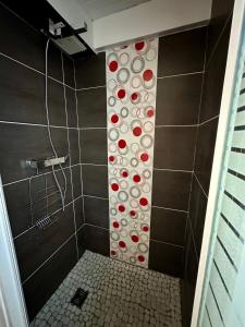 Appartements La Terrasse de Bernadette : photos des chambres